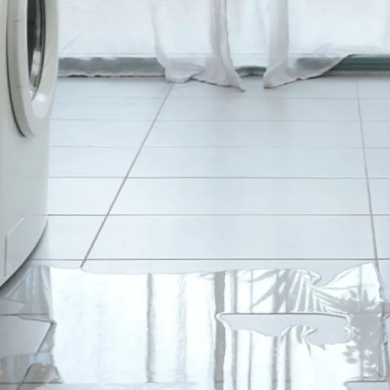 Appliance Leak Cleanup in Willard, OH