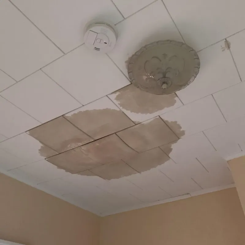 Ceiling Water Damage Repair in Willard, OH