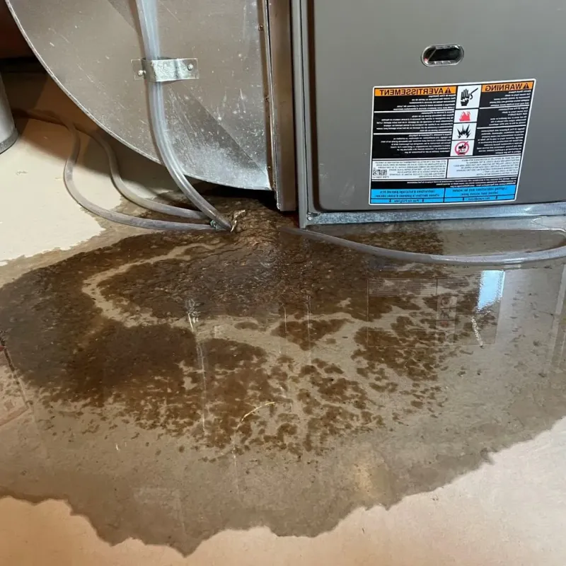 Pipe Burst and Leak Restoration in Willard, OH